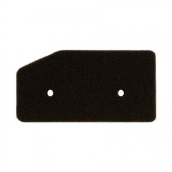 Air Filter Honda EU65is